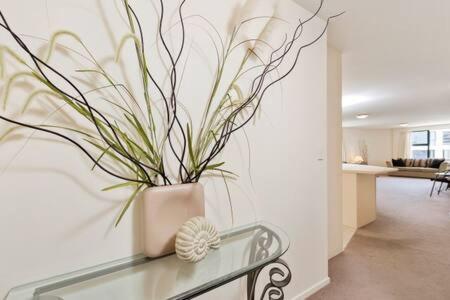 Oceanside Apartment Mount Maunganui Dış mekan fotoğraf
